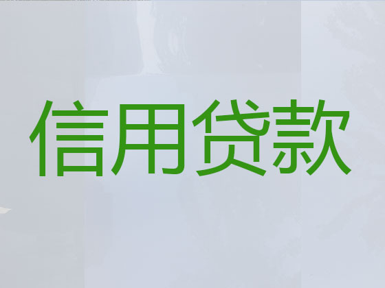 资阳贷款公司-银行信用贷款